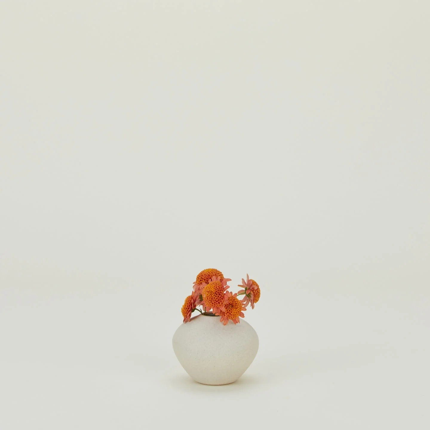 Verdure Vase - Natural - Image 3