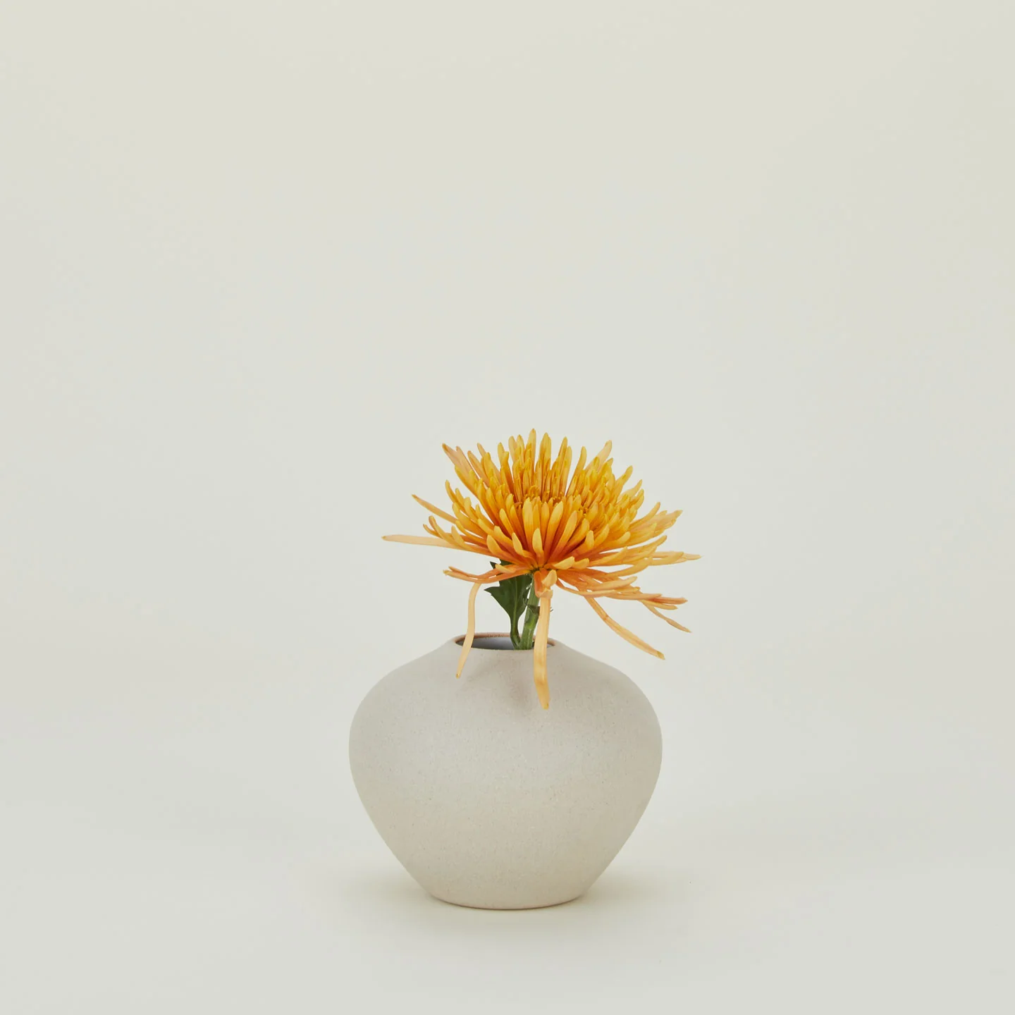 Verdure Vase - Natural - Image 4